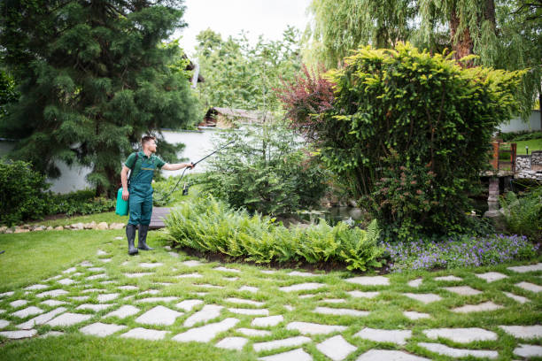Pest Prevention Services in Watertown, MN