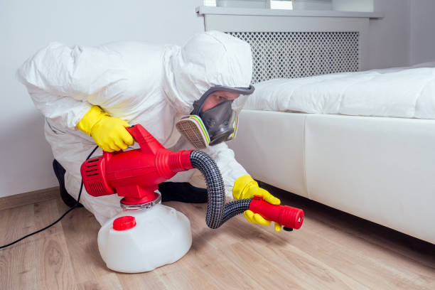 Best Flea Control Services  in Watertown, MN