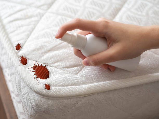 Pest Control Cost in Watertown, MN